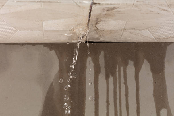 Professional Structural Drying technician working in Crooksville, OH